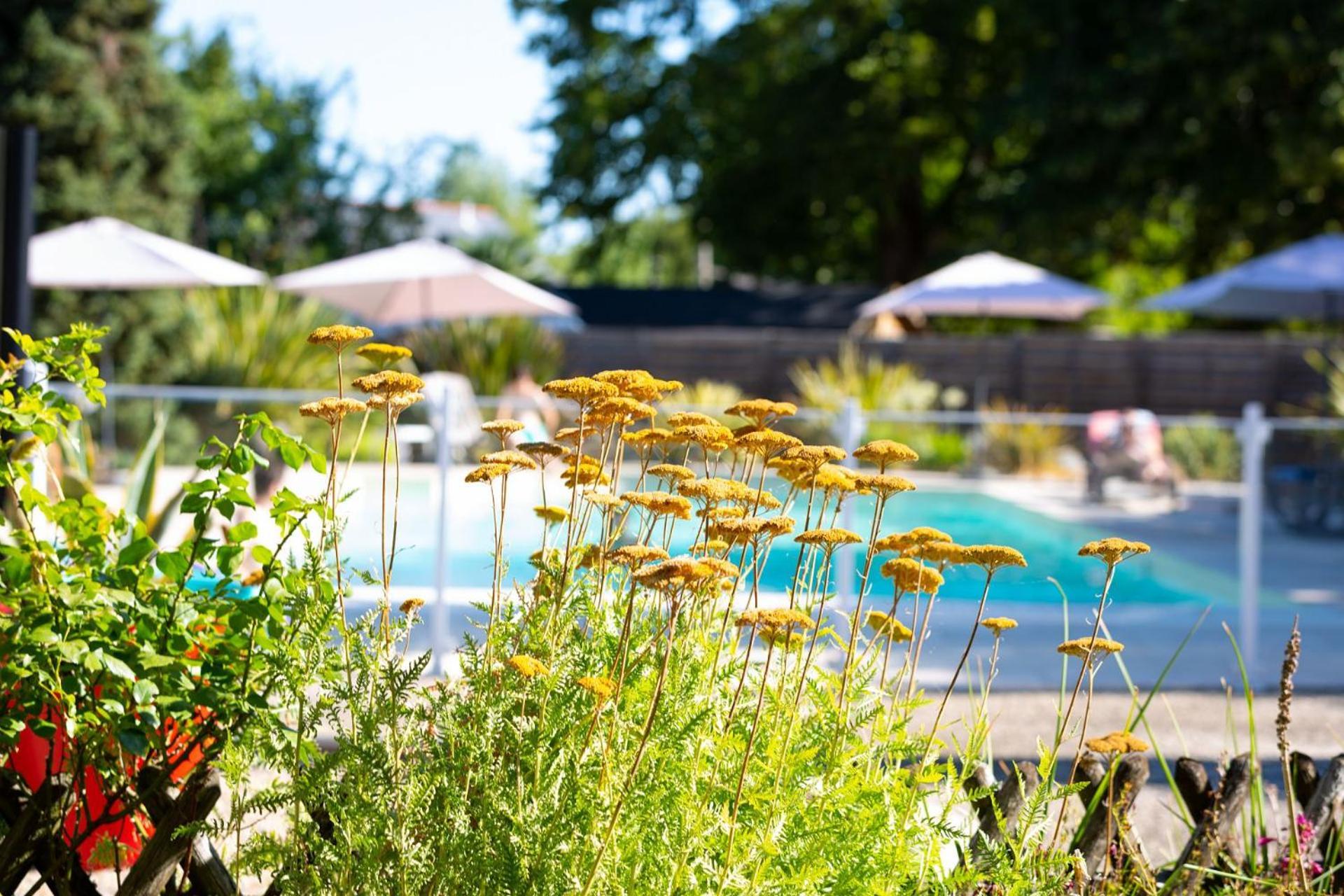 Hotel Mileade Le Domaine De La Blairie - Saumur Saint-Martin-de-la-Place Exteriör bild